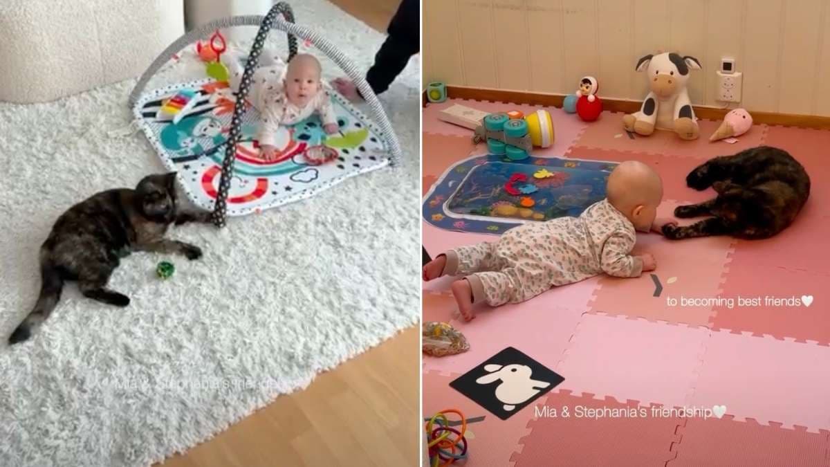 Pierwsze spotkanie kota Mii z niemowlęciem przerodziło się w niezwykłą więź