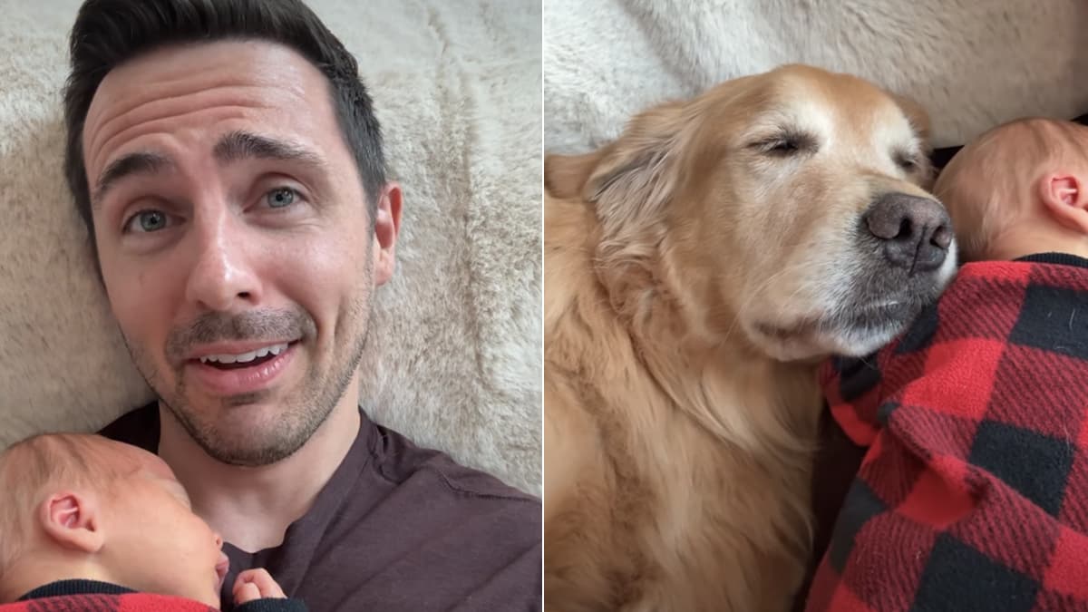 Golden retriever Ellie i noworodek: wzruszająca drzemka