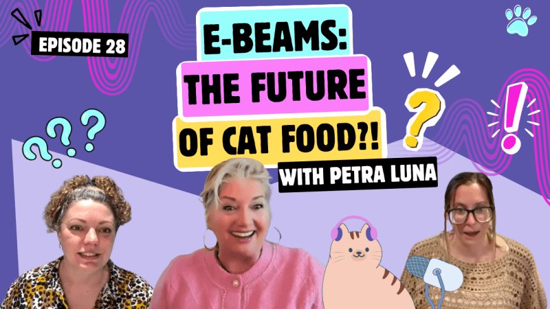 Petra Luna z CatCrazy o żywieniu kotów i bezpieczeństwie karmy