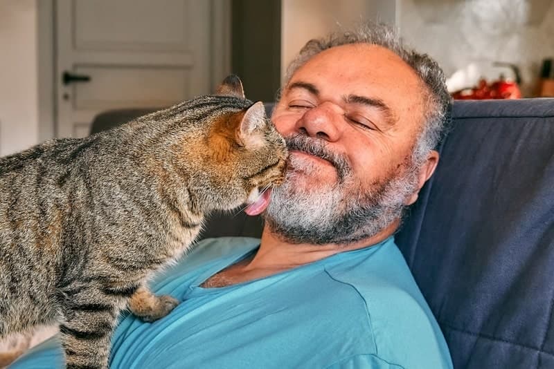 Koty i ich specyficzne podejście do przestrzeni osobistej